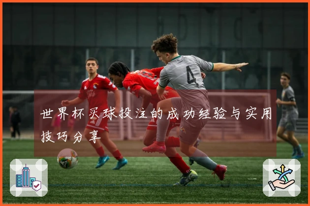 世界杯买球投注的成功经验与实用技巧分享