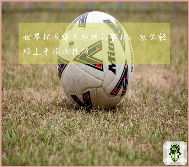 世界杯滚球买球规则解析，助你轻松上手投注技巧