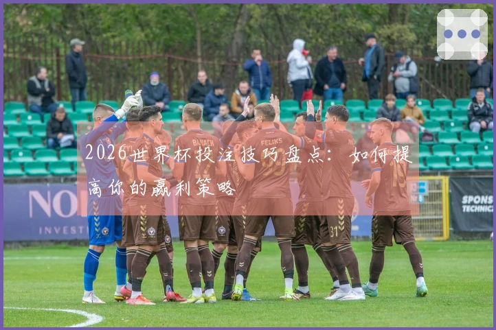 2026世界杯投注技巧盘点：如何提高你的赢利策略