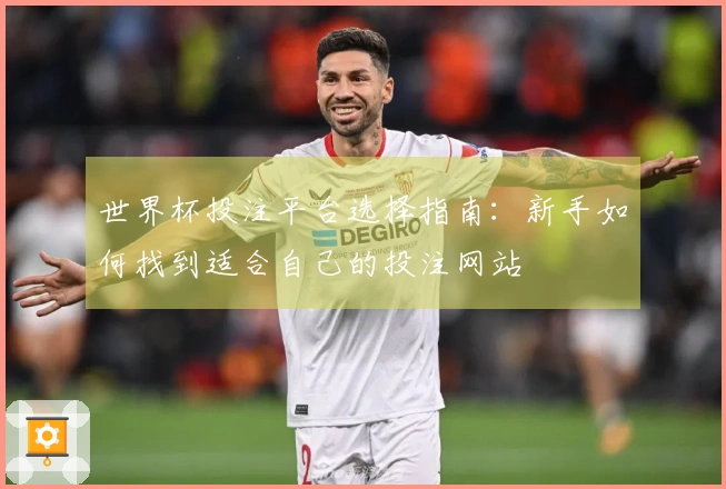 世界杯投注平台选择指南：新手如何找到适合自己的投注网站