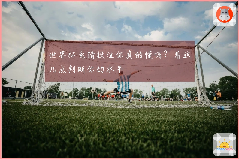 世界杯竞猜投注你真的懂吗？看这几点判断你的水平