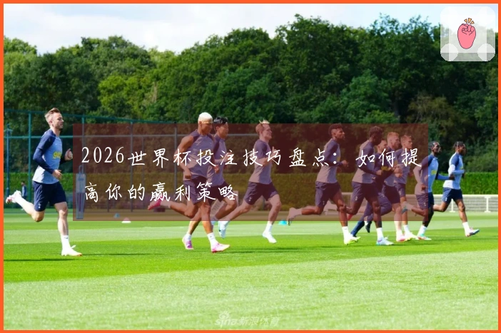 2026世界杯投注技巧盘点：如何提高你的赢利策略