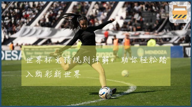 世界杯竞猜规则详解，助你轻松踏入购彩新世界