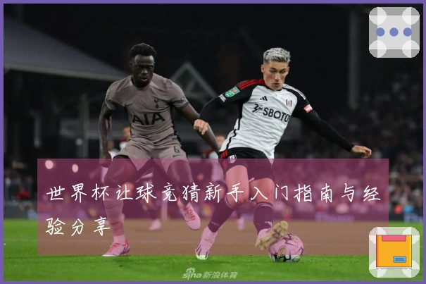 世界杯让球竞猜新手入门指南与经验分享