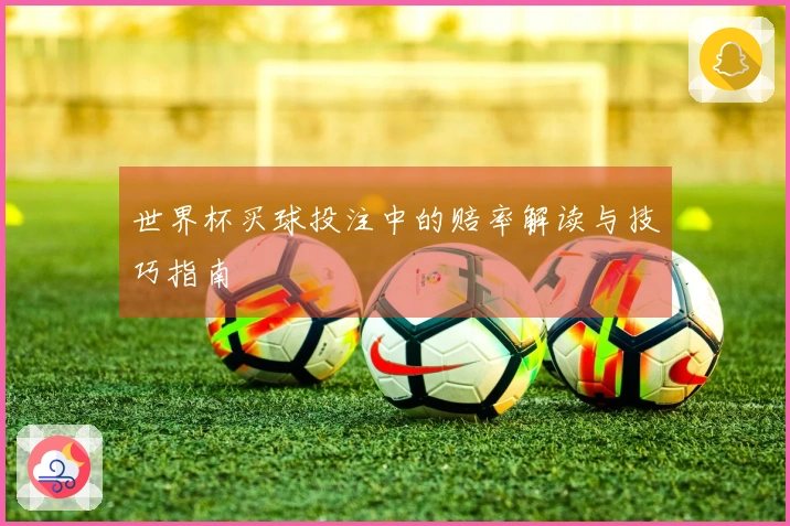 世界杯买球投注中的赔率解读与技巧指南