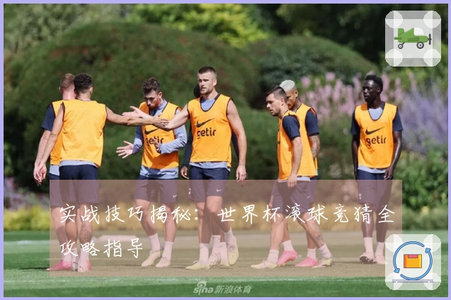 实战技巧揭秘：世界杯滚球竞猜全攻略指导