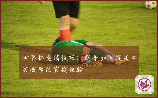 世界杯竞猜技巧：新手如何提高中奖概率的实战经验