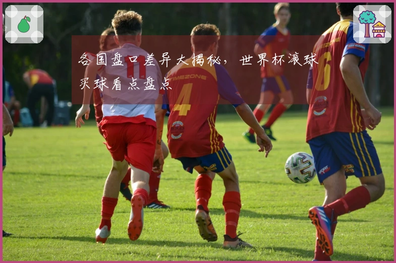 各国盘口差异大揭秘，世界杯滚球买球看点盘点