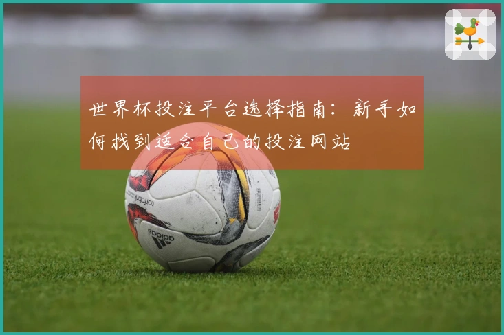 世界杯投注平台选择指南：新手如何找到适合自己的投注网站