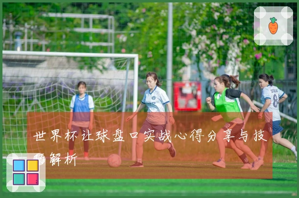 世界杯让球盘口实战心得分享与技巧解析