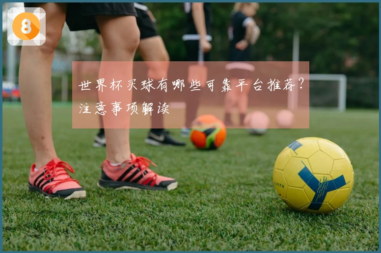 世界杯买球有哪些可靠平台推荐？注意事项解读